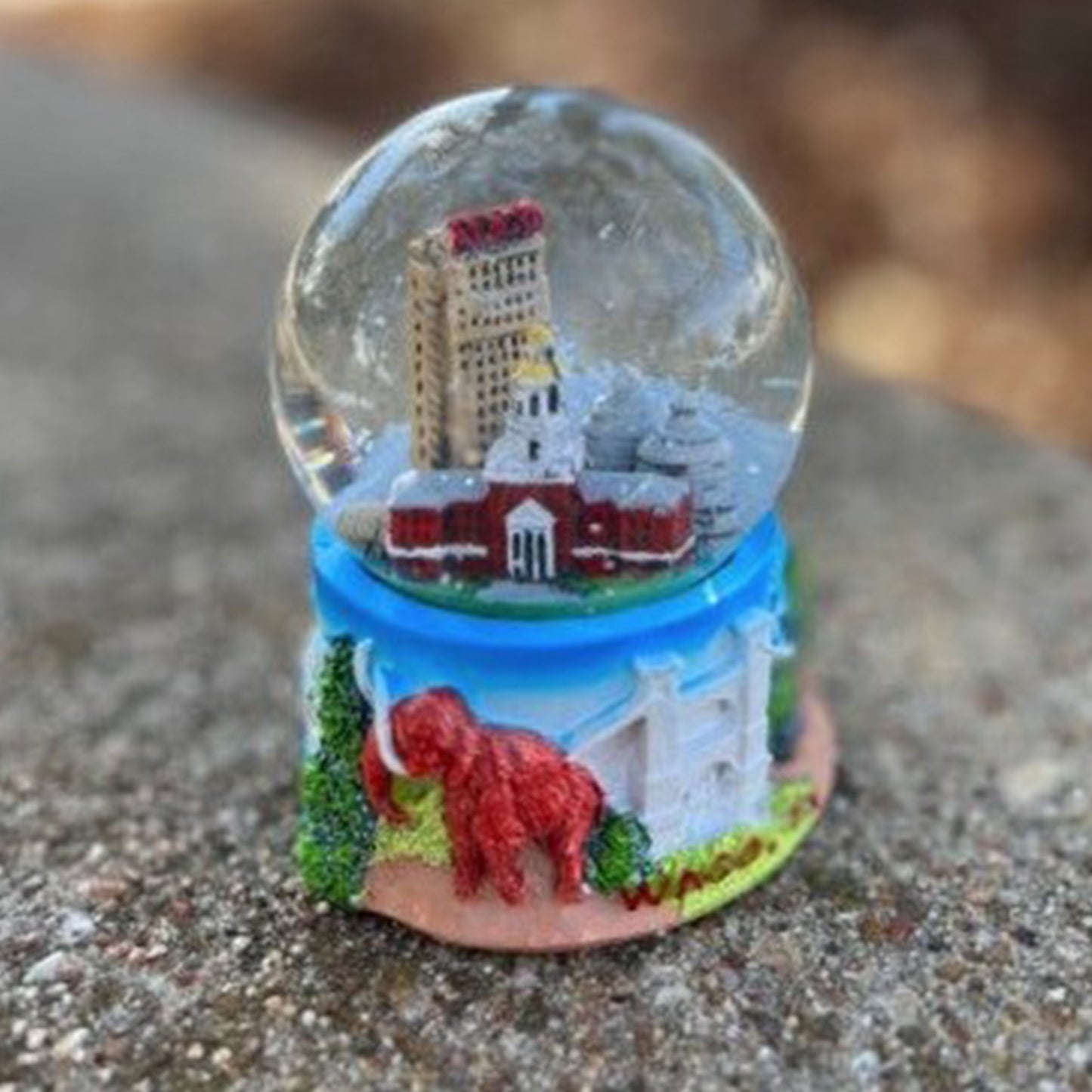 Waco Snow Globe