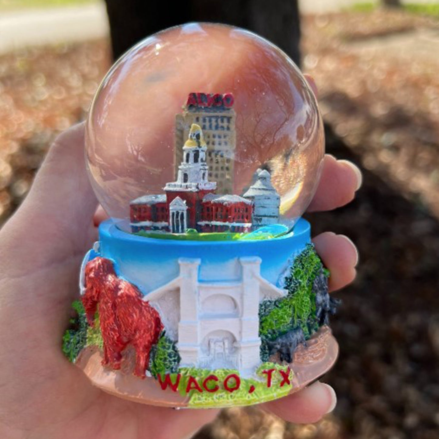 Waco Snow Globe