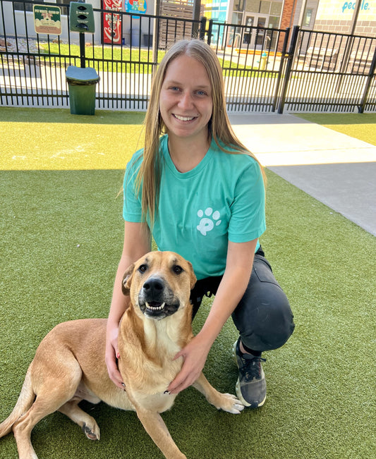 Teal Pet Circle Tee